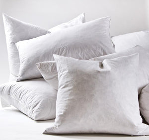 Wht Goose5/95 Feather  Pillow -22'' (10)